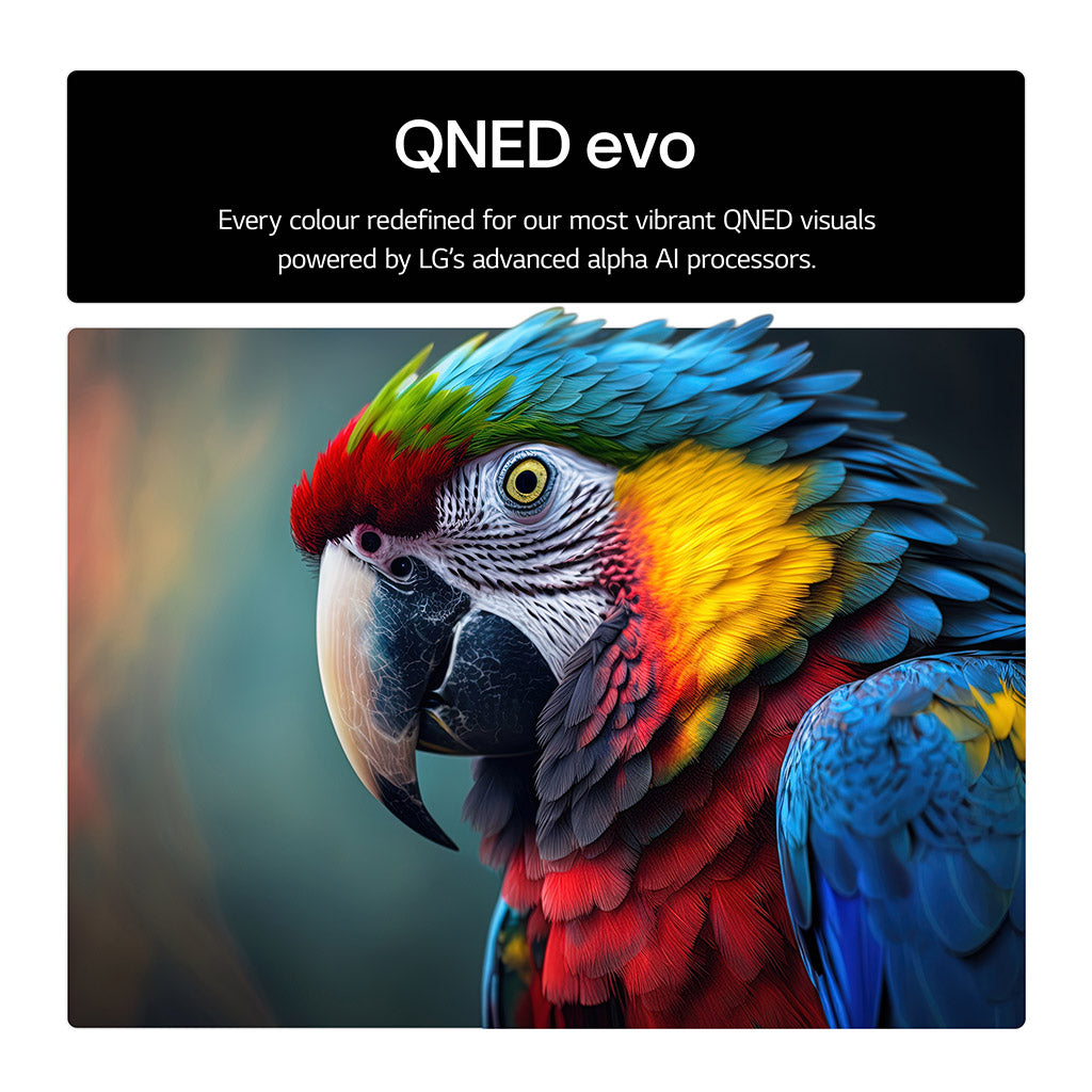 LG 100QNED86A6 100" 4K QNED evo TV