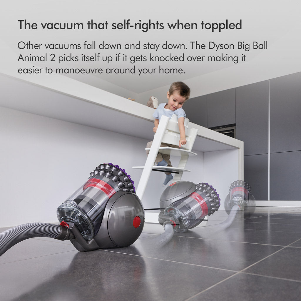 Dyson Big Ball Multi Floor 2 Vacuum