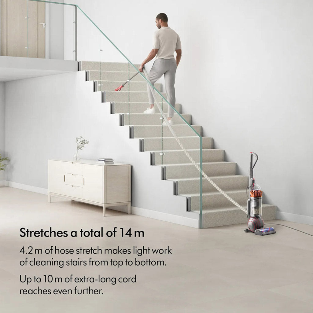Dyson UP34 Ball Animal Origin Vacuum