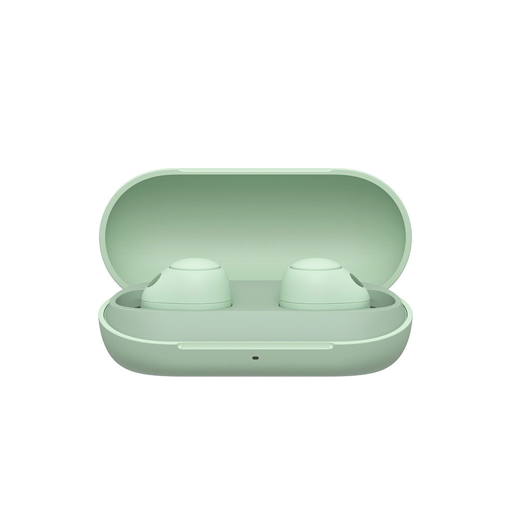 Sony WF-C700N Truly Wireless Noise Cancelling Headphones case