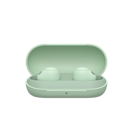 Sony WF-C700N Truly Wireless Noise Cancelling Headphones case