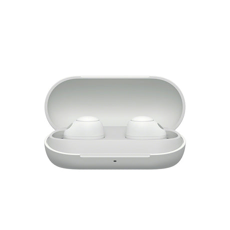 Sony WF-C700N Truly Wireless Noise Cancelling Headphones case