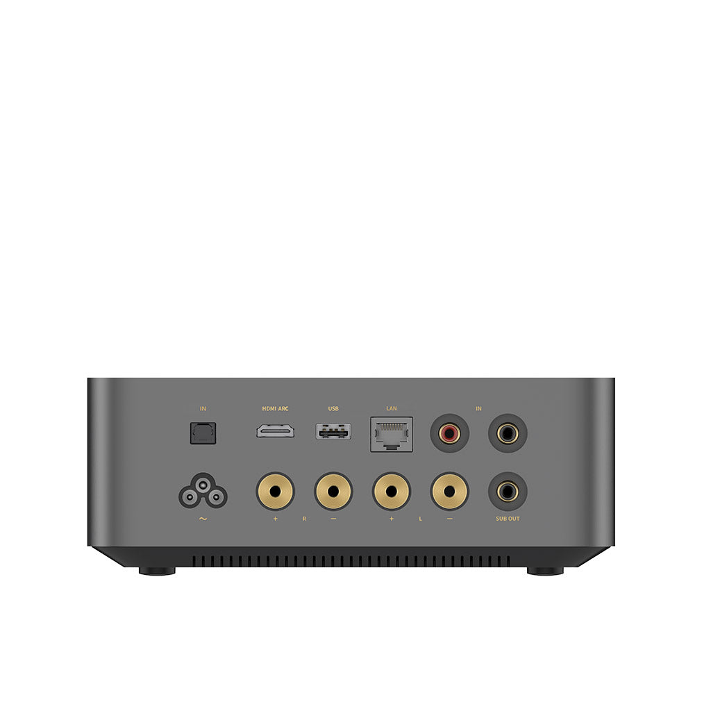 Wiim Amp Ultra - Streaming Amplifier