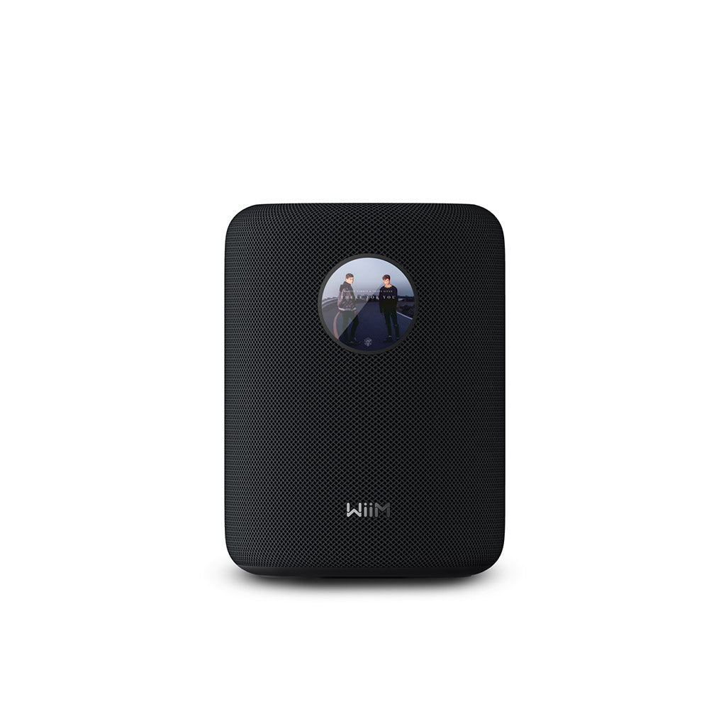 WiiM Sound Smart Speaker
