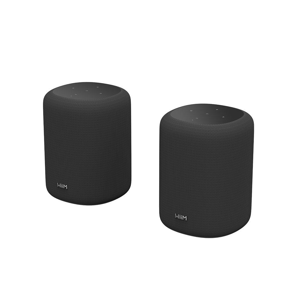 WiiM Sound Lite Smart Speaker Twin Pack