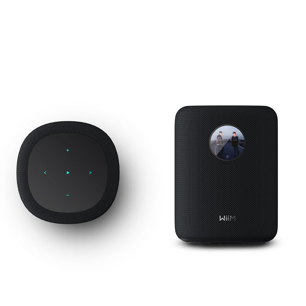 WiiM Sound Smart Speaker