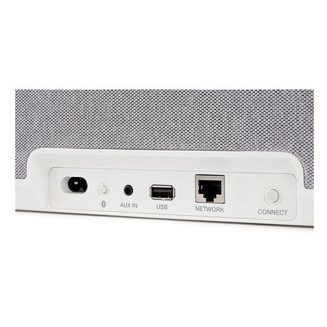 Denon Home 250 Connections