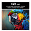 LG 55QNED93A6A 55" 4K QNED evo Mini LED TV