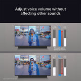 Sony BRAVIA Theatre Bar 9 Soundbar HT-A9000
