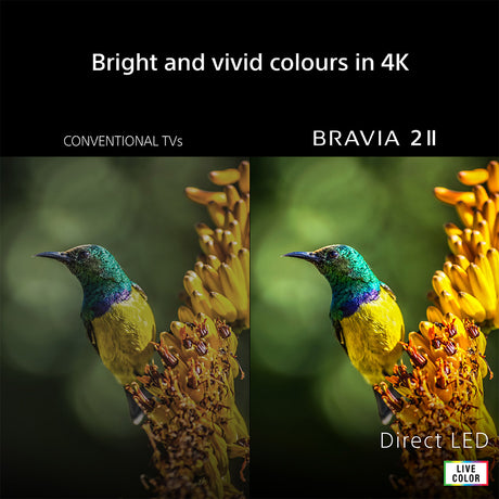 Sony BRAVIA 2 II K55S25M2PB 55" 4K LED TV