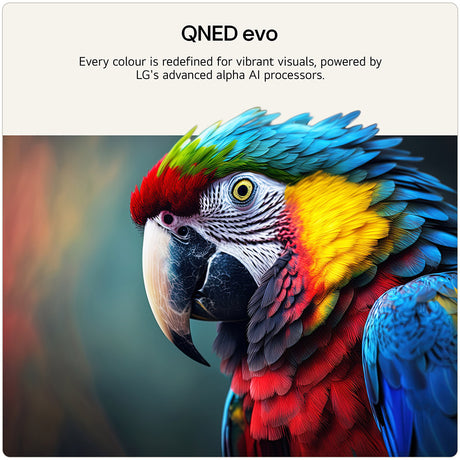 LG 55QNED87B6A 55" 4K QNED evo MiniLED AI TV