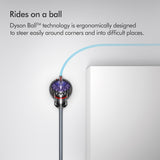 Dyson Big Ball Animal 2 Vacuum