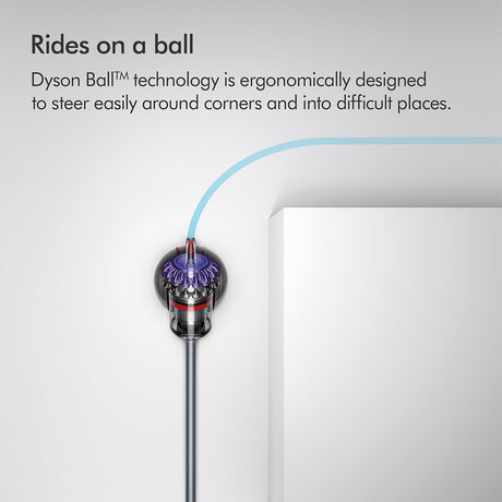 Dyson Big Ball Animal 2 Vacuum