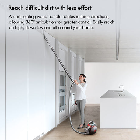 Dyson Big Ball Animal 2 Vacuum