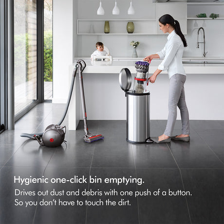 Dyson Big Ball Animal 2 Vacuum