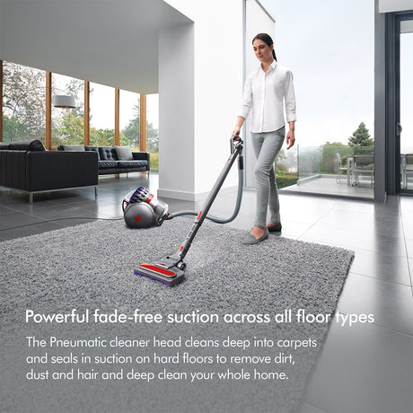Dyson Big Ball Animal 2 Vacuum