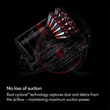Dyson Big Ball Animal 2 Vacuum