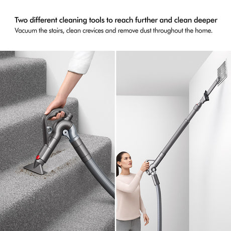 Dyson Big Ball Animal 2 Vacuum