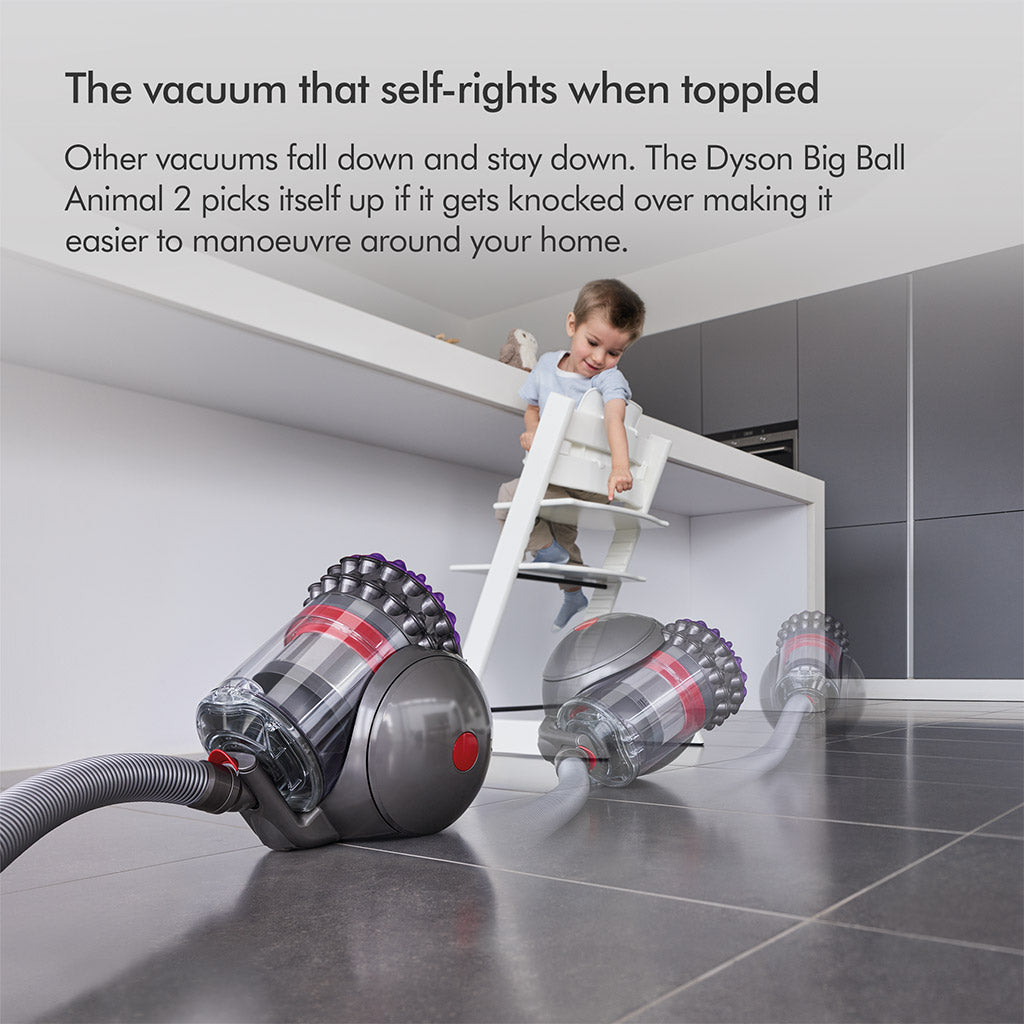 Dyson Big Ball Animal 2 Vacuum