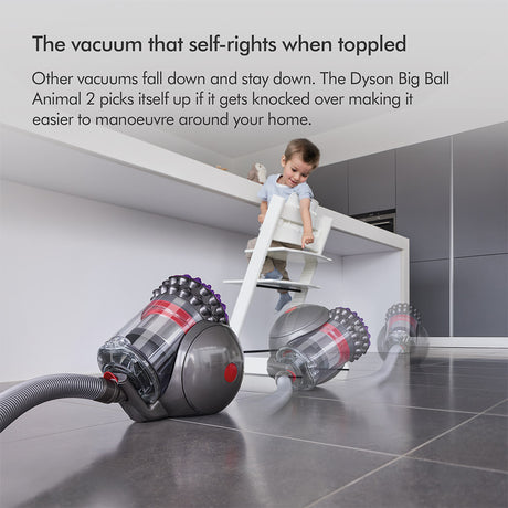 Dyson Big Ball Animal 2 Vacuum