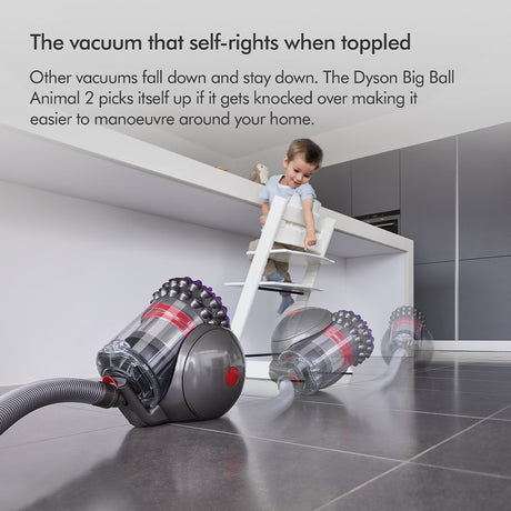 Dyson Big Ball Multi Floor 2 Vacuum