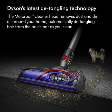 Dyson Cyclone V10 Submarine Wet and Dry Vacuum