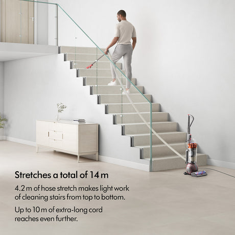 Dyson UP32 Ball Animal Vacuum