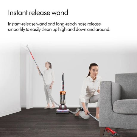 Dyson UP34 Ball Animal Origin Vacuum