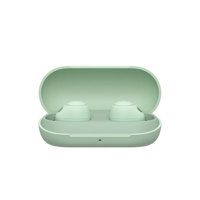 Sony WF-C700N Truly Wireless Noise Cancelling Headphones case