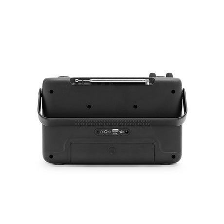 Roberts Blutune 219