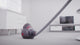 Dyson Big Ball Multi Floor 2 Vacuum