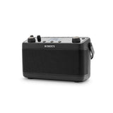 Roberts Blutune 219