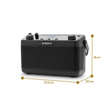 Roberts Blutune 219