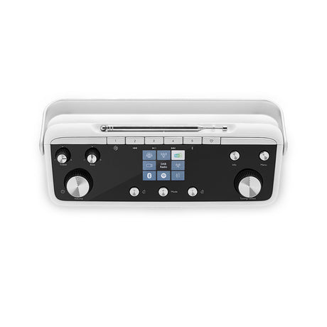 Roberts Blutune 219