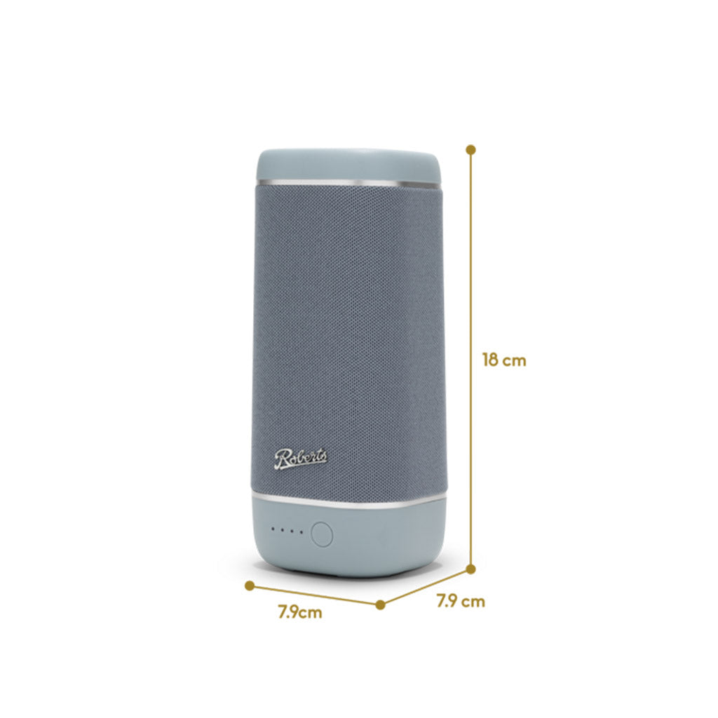 Roberts Reunion Portable Bluetooth Speaker