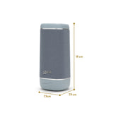 Roberts Reunion Portable Bluetooth Speaker
