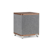 Ruark Audio RS1 Subwoofer