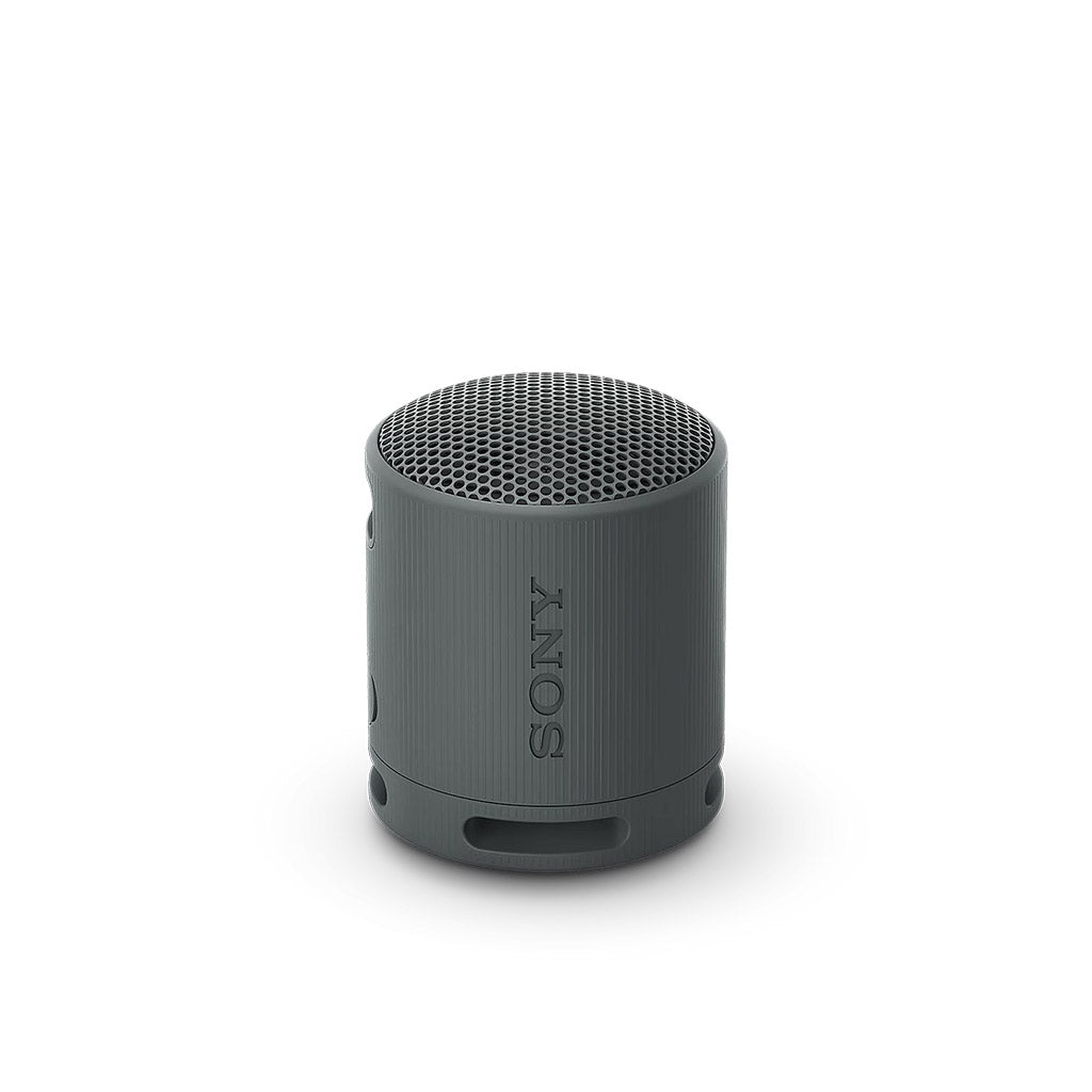 Sony SRS-XB100 Portable Bluetooth Wireless Speaker