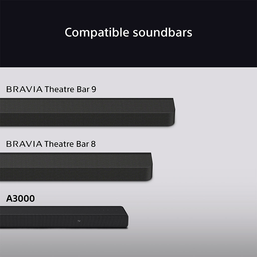 Sony SA-RS8