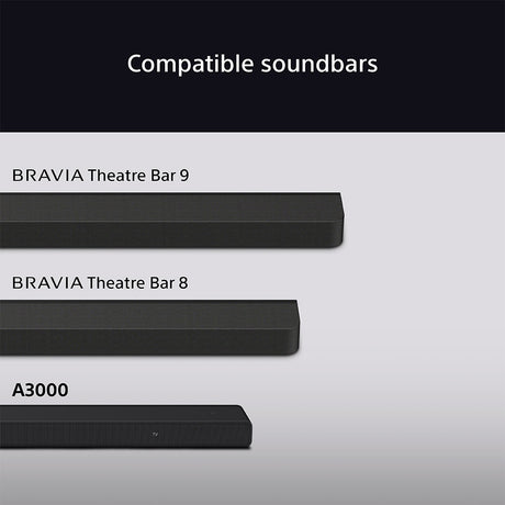 Sony SA-RS8
