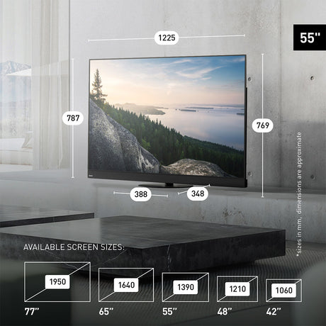 Panasonic TV-55Z90BEBA 55" 4K OLED TV