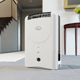 EcoAir DD1 Simple MK3
