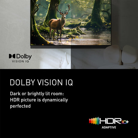 Panasonic TV-55Z95BEBA 55" 4K OLED TV