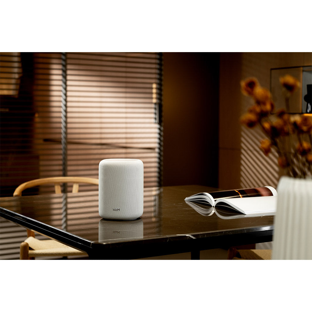 WiiM Sound Lite Smart Speaker
