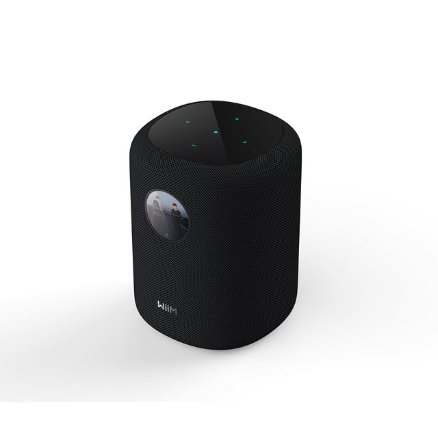 WiiM Sound Smart Speaker