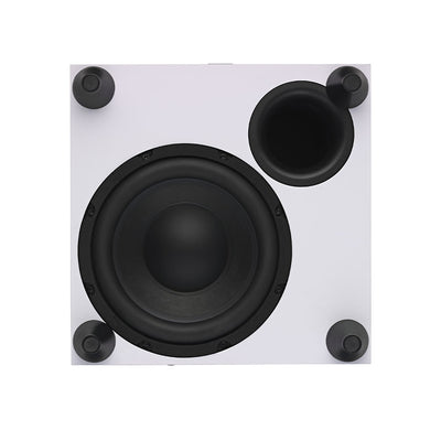 Dali Sub C 8 Subwoofer driver